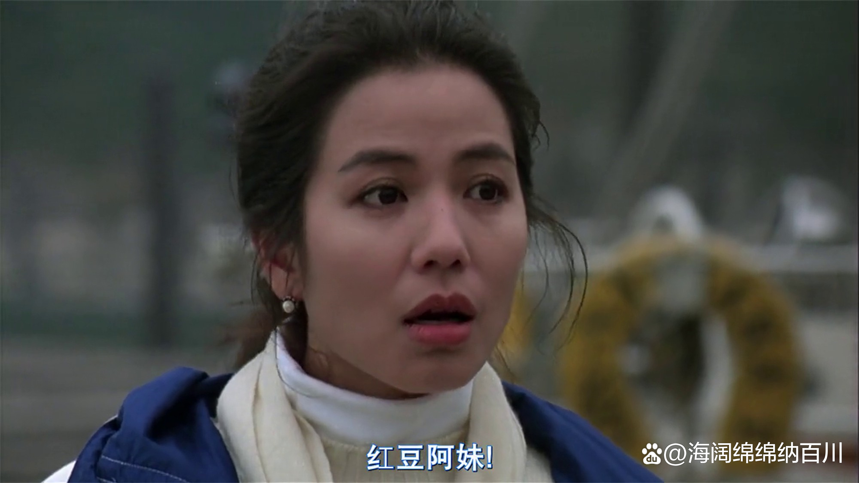 电影票房从哪看