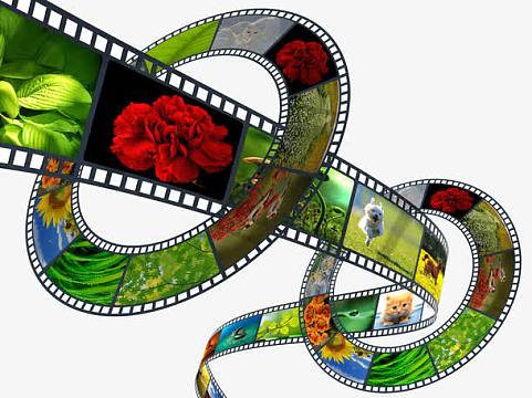 星辰电影在线观看完整版中文字幕免费